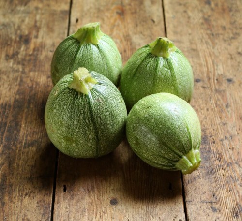 Squash Zucchini Bun 